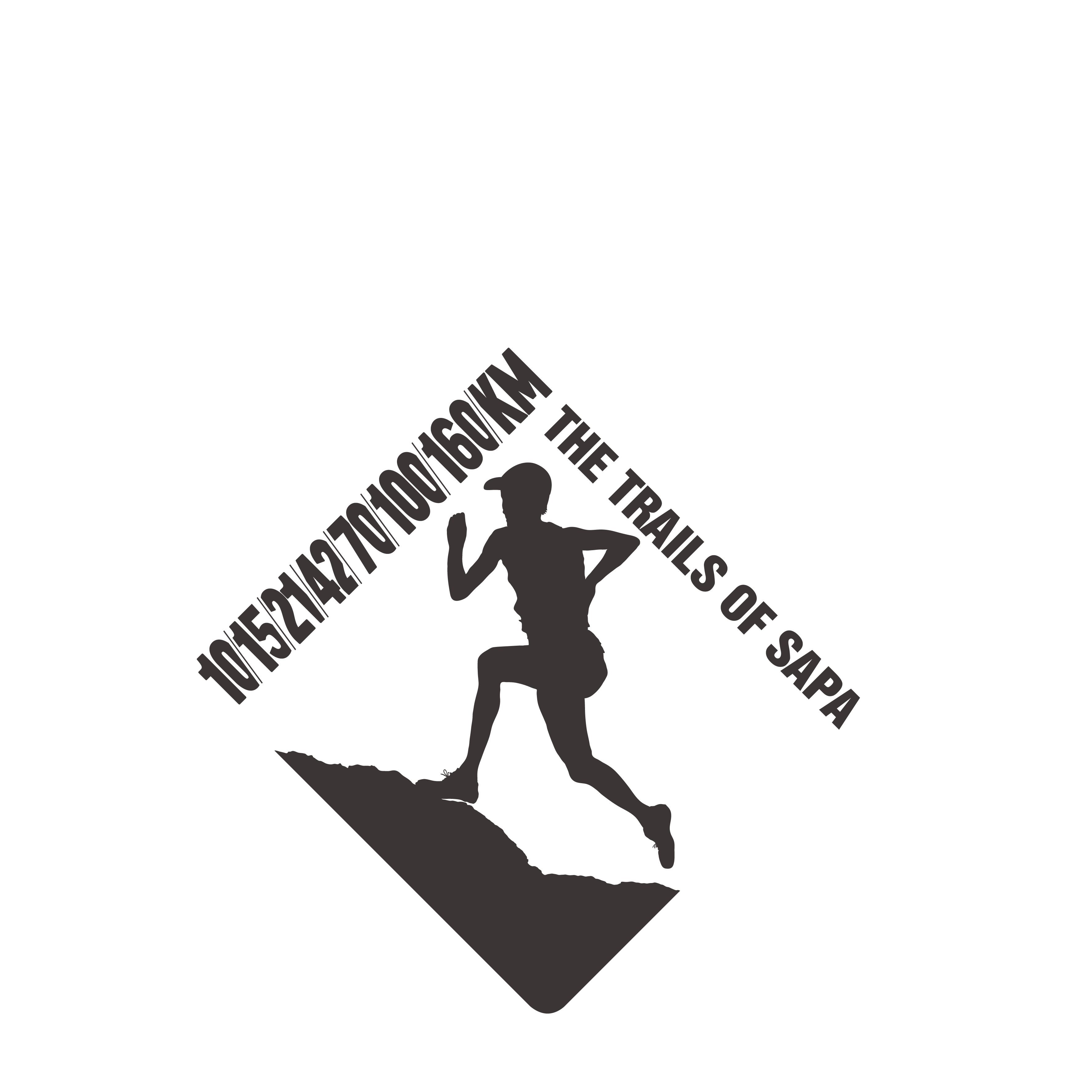 VMM Logo_Transparent-NY