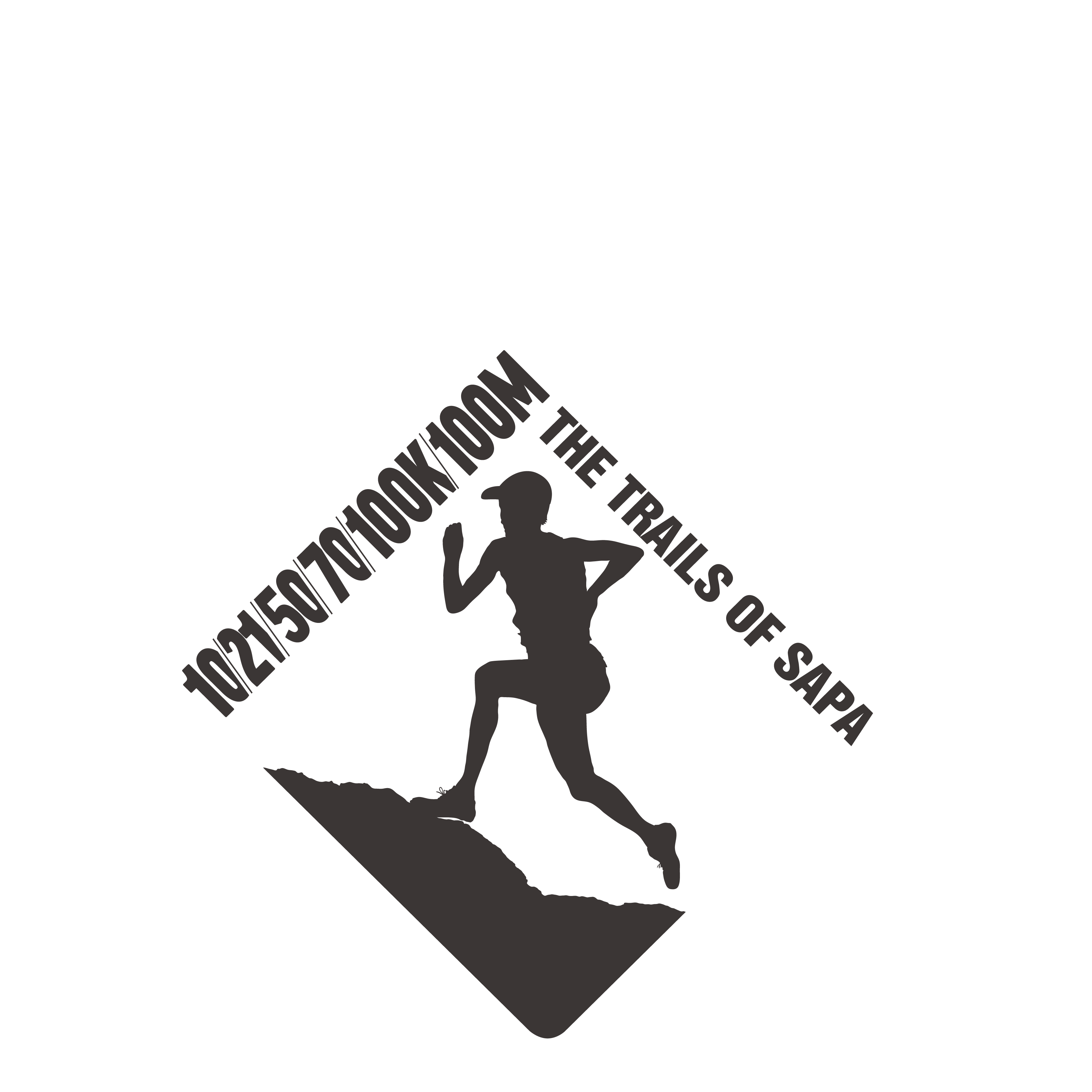 VMM2024 logo_3
