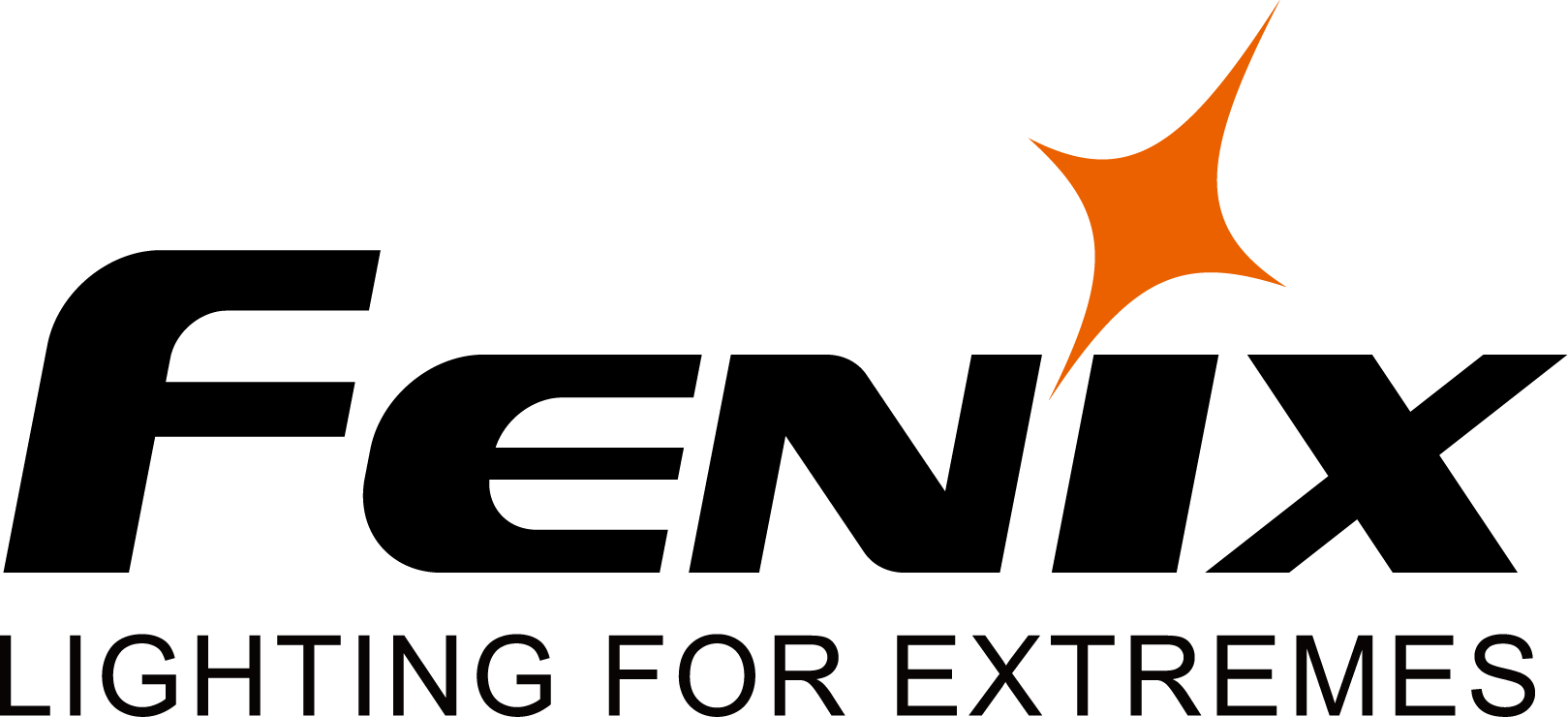 Logo - Fenix - VMM Partner 2023