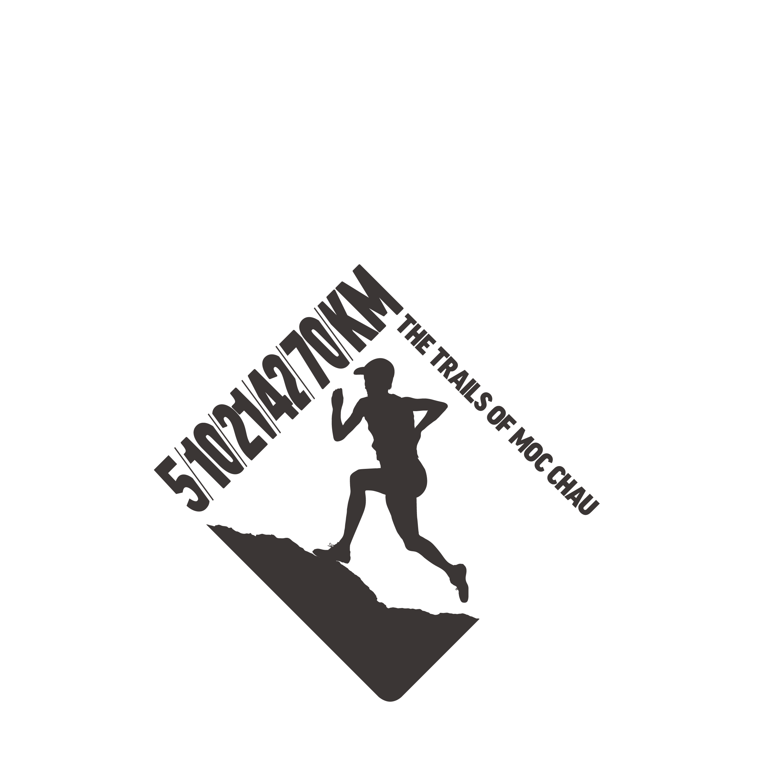 Logo VTM2025_5km_white