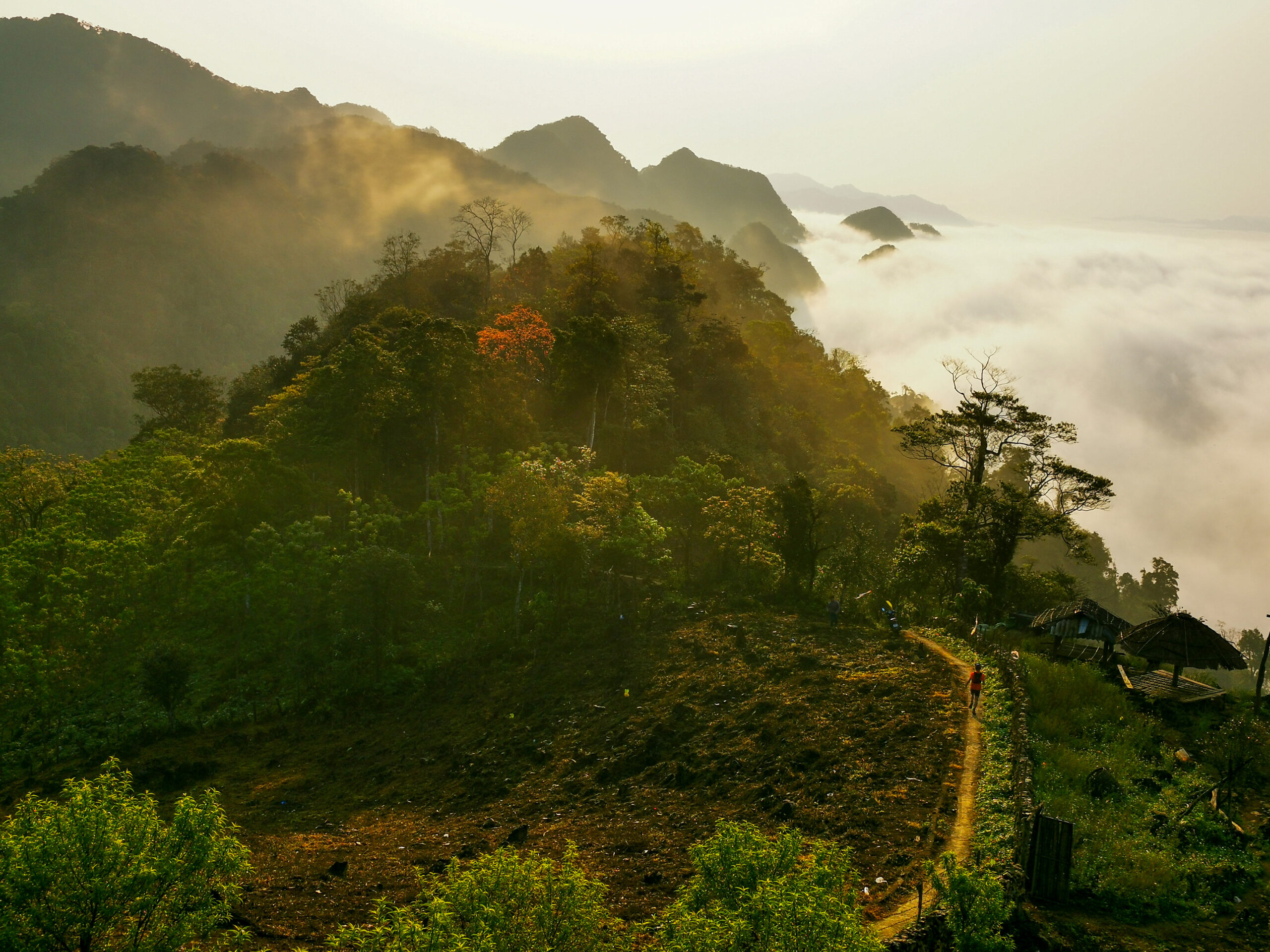 55km VUM - Vietnam Ultra Marathon 3